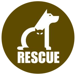 Kitty Rescue Shelter Logo